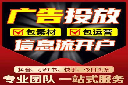 行业领先的SEM投放效果案例解析